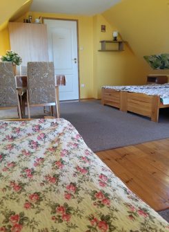 37187893_10211943406876731_775681749471461376_n