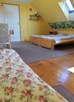 37206623_10211943407116737_370116405846081536_n